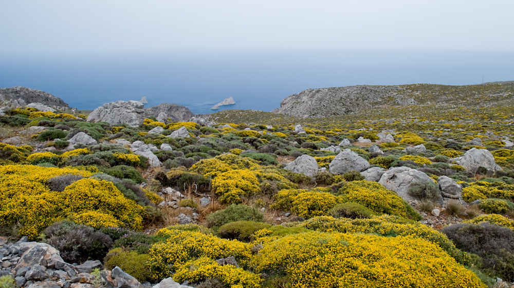 248_Kreta Wschodnia.jpg